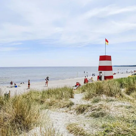 Pet Friendly In With Wifi